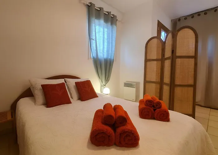 Mini Avec Piscine A Pied Wifi Clim Dans *